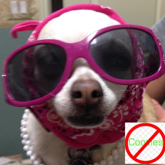 COOTIES UPDATE - Picture 1 of 2